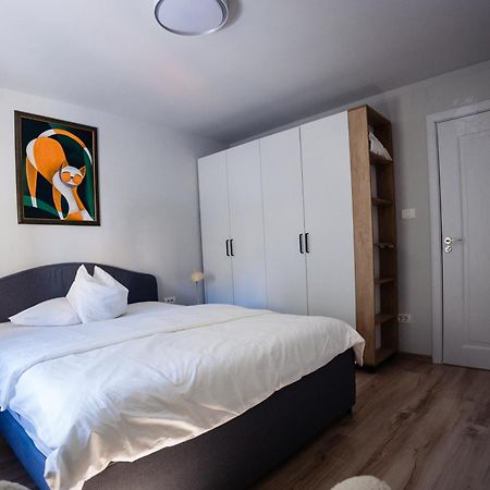 Apartament 209 阿尔巴·尤利亚· 外观 照片